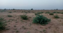 Parcelle de 500 m² sur une Voie de 20 m