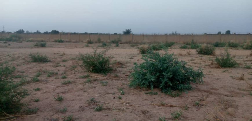 Parcelle de 500 m² sur une Voie de 20 m