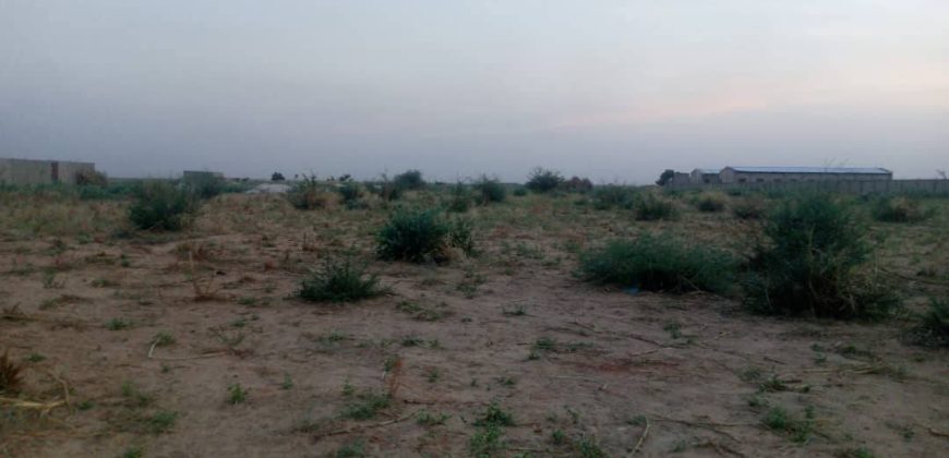 Parcelle de 500 m² sur une Voie de 20 m