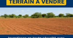 Parcelle de 500 m² sur une Voie de 20 m