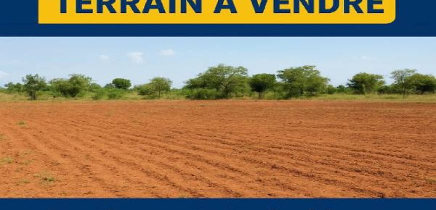 Parcelle de 500 m² sur une Voie de 20 m