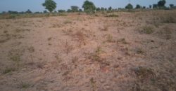 Parcelle de 400 m², Zone proche du Village Namaroua