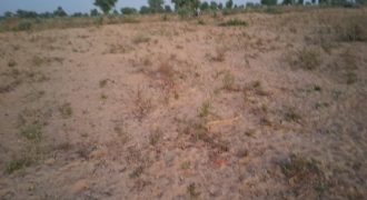 Parcelle de 400 m², Zone proche du Village Namaroua