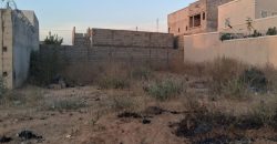Terrain de 420 m², Électricité et Eau disponibles