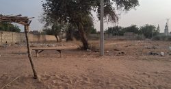 2 Terrains Collées, 500 m² Chacun, sur le Goudron