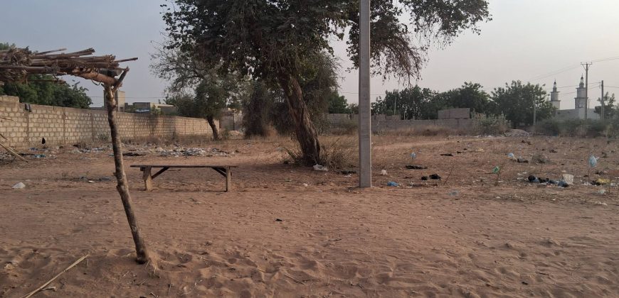 2 Terrains Collées, 500 m² Chacun, sur le Goudron