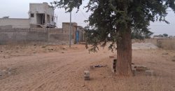 Parcelle de 370 m² sur 2 Voies, Bien Placée