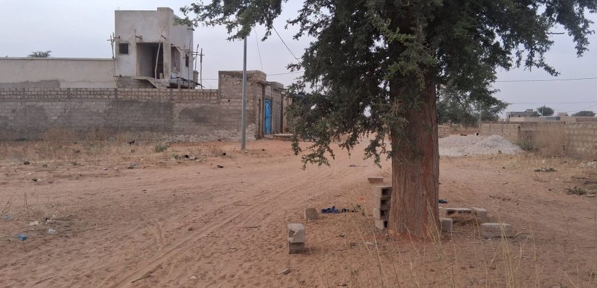 Parcelle de 370 m² sur 2 Voies, Bien Placée