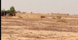 Parcelle 250 m², Îlot16480