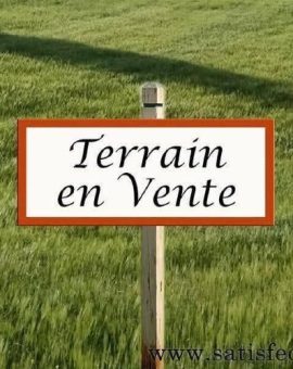 Tout les petits moutons