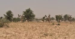 2 Parcelles Collées (2 x 400 m²), Nord de la Ligne Électrique