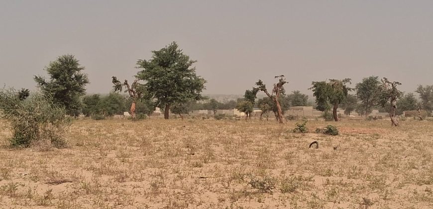 2 Parcelles Collées (2 x 400 m²), Nord de la Ligne Électrique