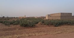 Parcelles de 300 m², Zone Guidan Kadji