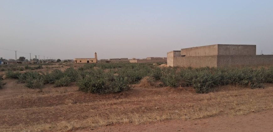 Parcelles de 300 m², Zone Guidan Kadji