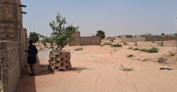 Parcelle de 200 m², Eau de Forage Disponible