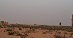 Parcelles (4×300 m²) Collées et Alignées