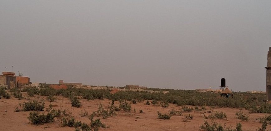 Parcelles (4×300 m²) Collées et Alignées