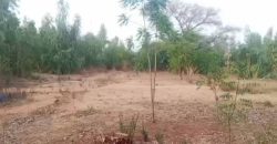 Grand Jardin de 5000 m², face Douane Harobanda
