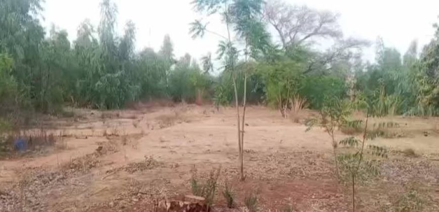 Grand Jardin de 5000 m², face Douane Harobanda