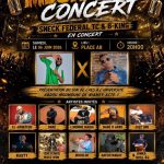 MEGA GIGA CONCERT AVEC SNECK DE FÉDÉRAL TC