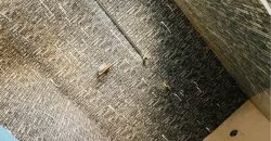 Celibaterium 1 Chambre, Salon, vers Station Noma (africando)