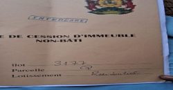 Parcelle de 300 m² sur une Voie de 30 m